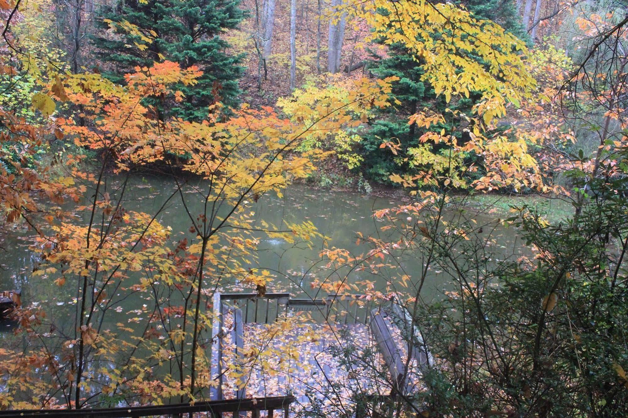 The Yellow House On Plott Creek Уейнсвил Екстериор снимка